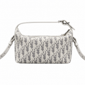 Dior Oblique Jacquard Vanity Pouch